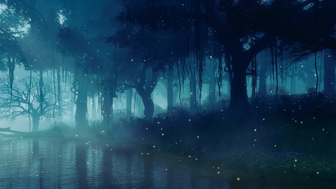 雾蒙蒙的夜森林视频素材
