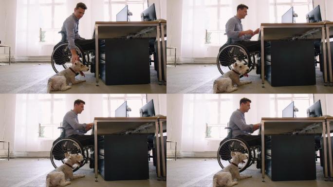 轮椅上办公的男人狗狗一人一狗居家