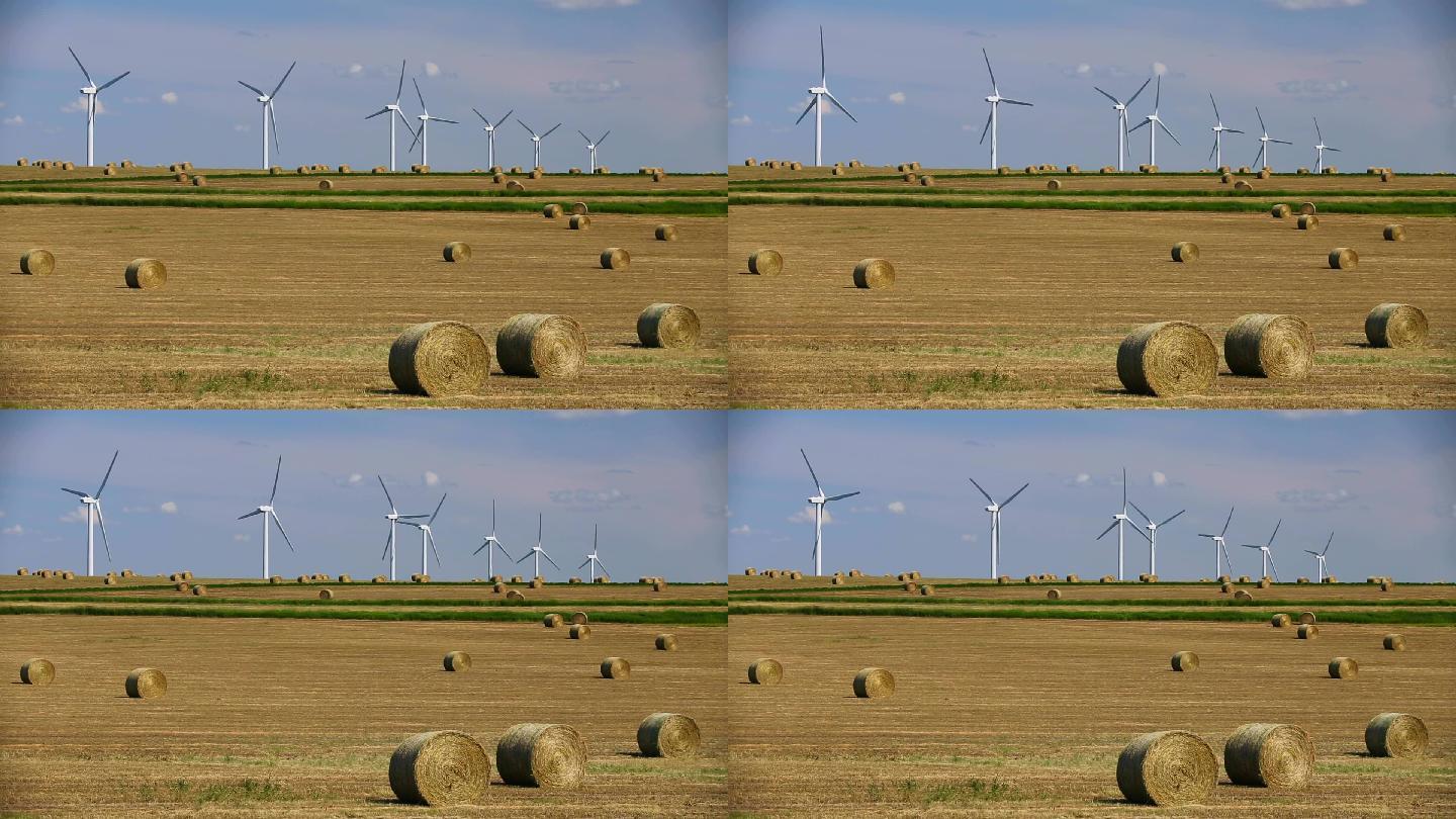 阿尔伯塔省风力涡轮机