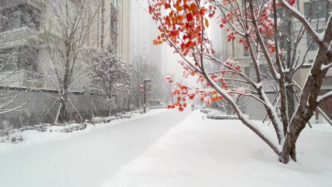 小区雪景，空镜头，冬天大雪，高端中式，