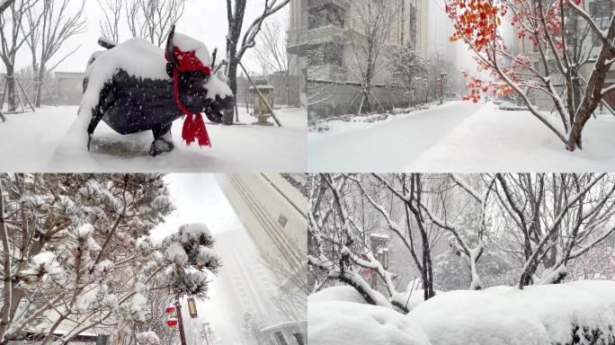 小区雪景，空镜头，冬天大雪，高端中式，