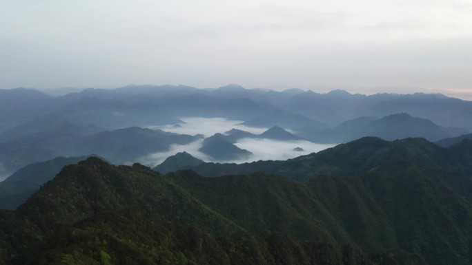 航拍松阳箬寮原始森林日出云海