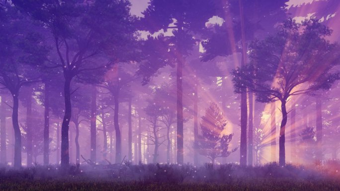 神秘夜森林动画中的萤火虫光