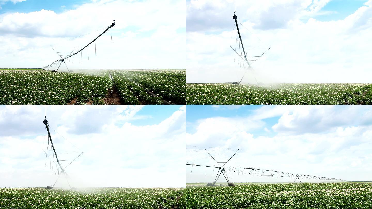 现代自动化工业灌溉系统