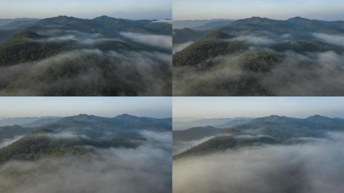 雾流覆盖山景放松山