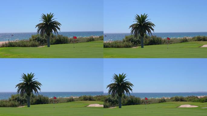 绿色高尔夫球场大美风光美丽风景