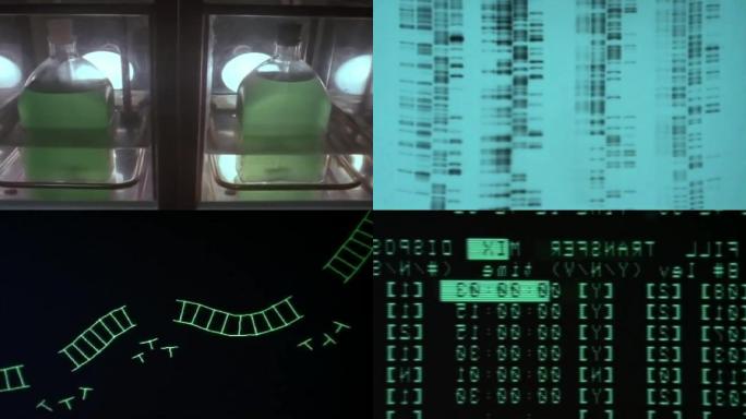 80年代生物科研 基因编辑