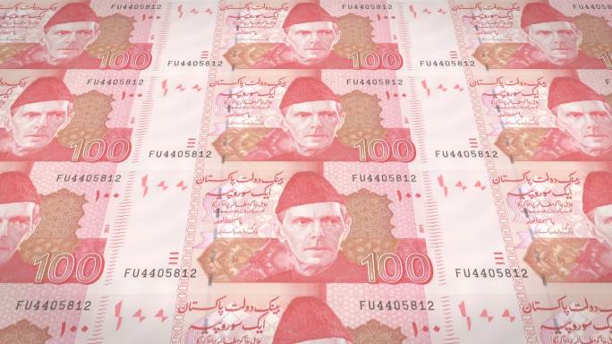 100巴基斯坦卢比的钞票