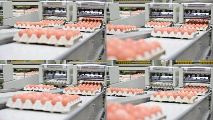 鸡蛋厂生产线加工生产车间企业流水线