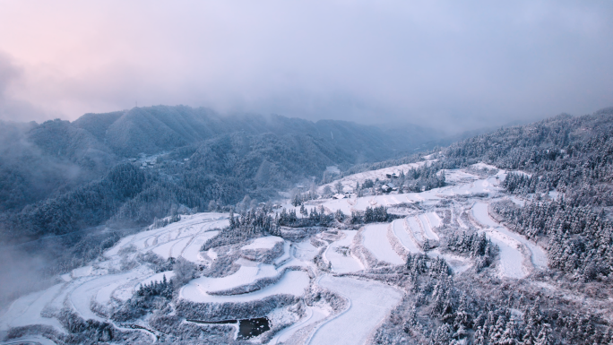 雪景