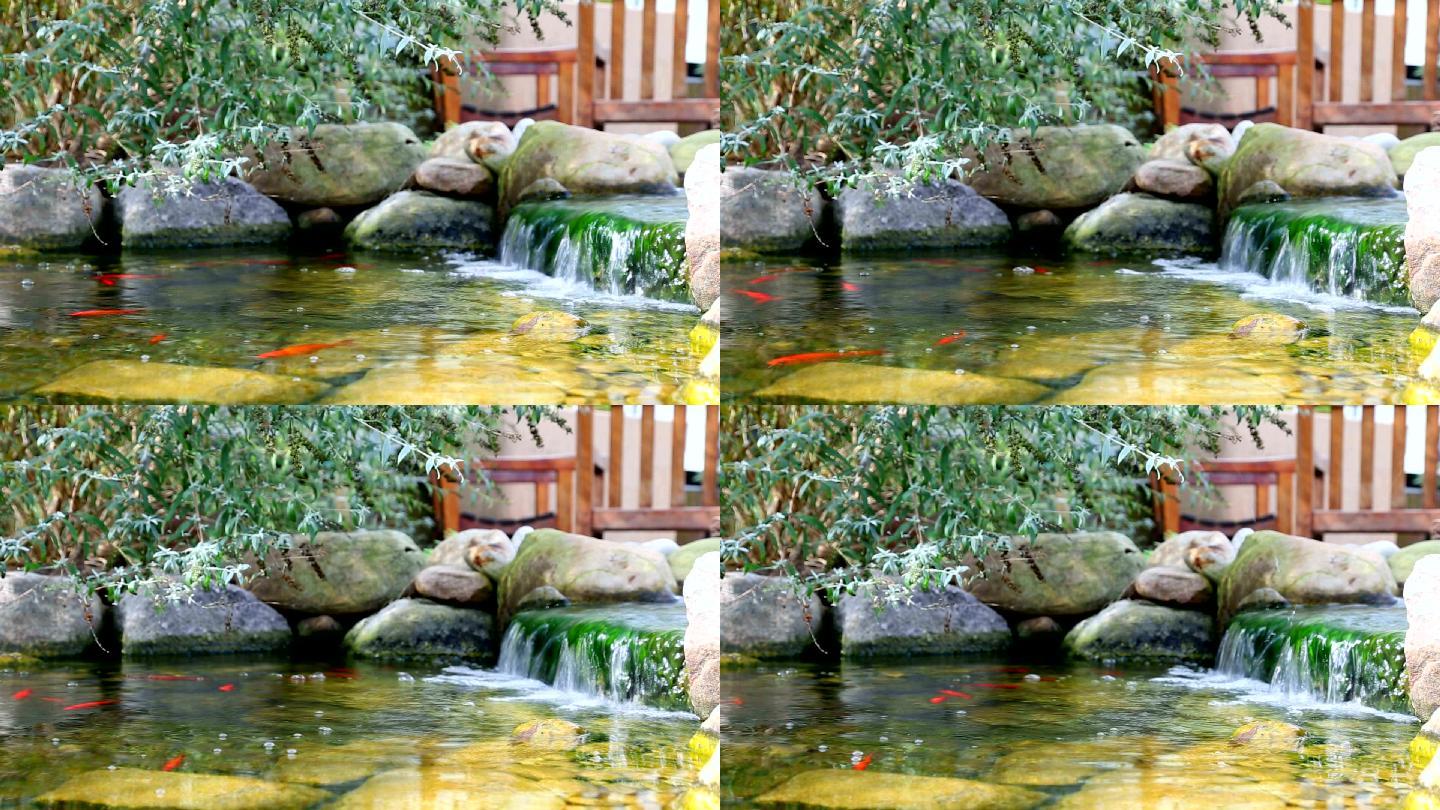 花园里的锦鲤池_1920x1080_高清视频素材下载(编号:7325625)_实拍视频