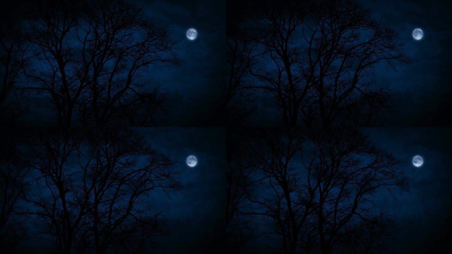 冬天光秃秃的大树在风中摇曳