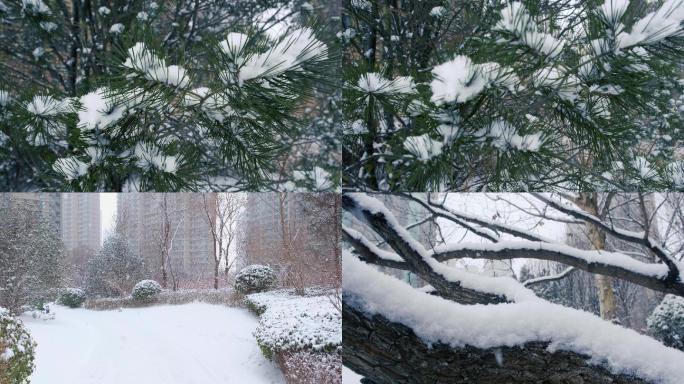 下雪天、雪景