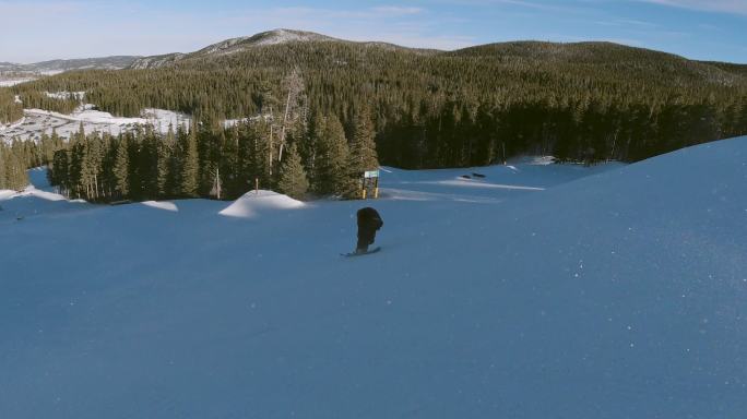 一名穿着全套冬季装备的滑雪者在森林里滑雪