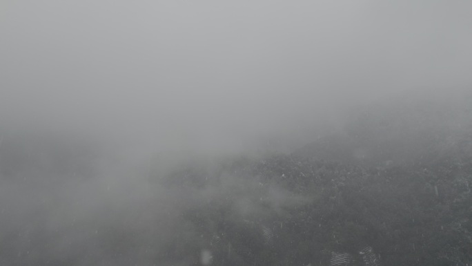 下雪 西湖 茶山 航拍 4K 梅家坞