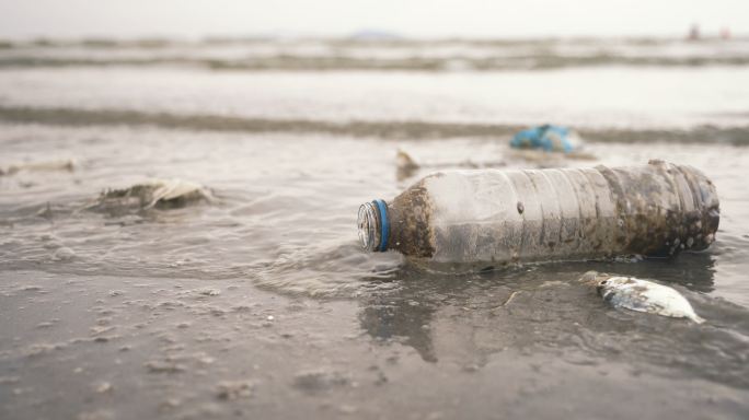 海滩上的塑料瓶和其他垃圾