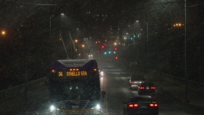 夜晚大雪飘落在街道上