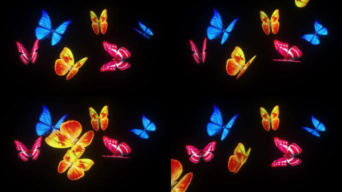 美丽蝴蝶背景的3d动画
