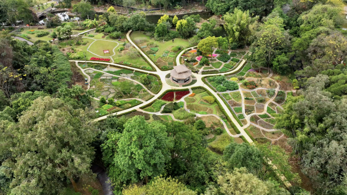 【4K】广西壮族自治区药用植物园