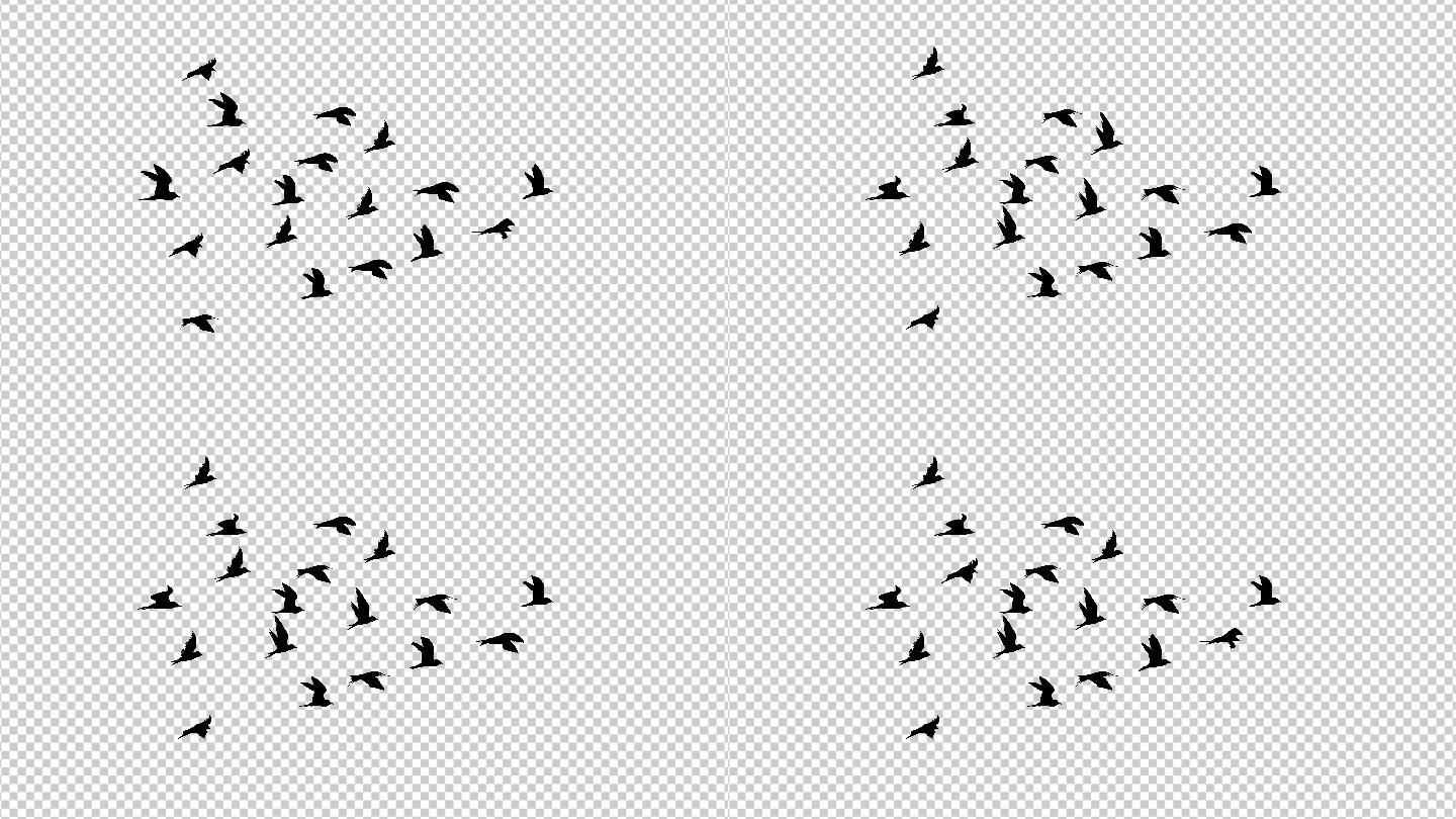 4K燕子鸟群飞翔