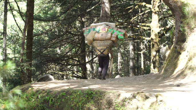 在喜马拉雅山搬运货物