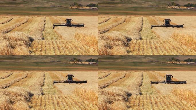 收割麦田的农民农机具丰收稻谷