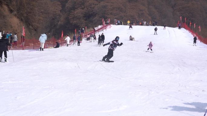 娴熟的滑雪者a