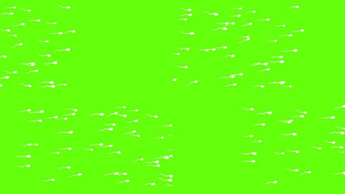 蝌蚪游泳的动画绿屏绿布绿幕抠图后期抠像