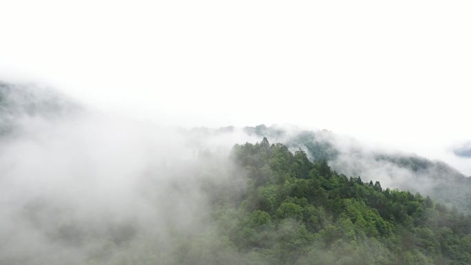 云雾中的绿水青山