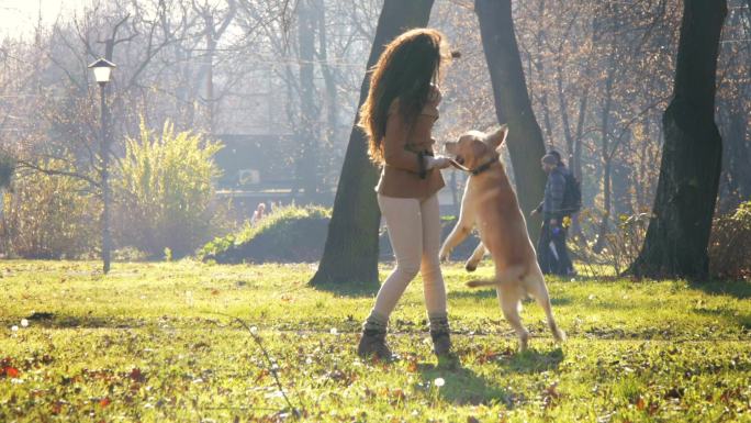女孩和她的狗在公园里玩耍