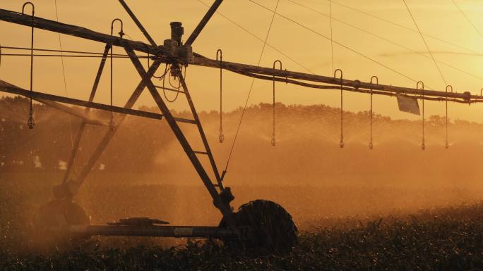 日落时灌溉玉米地的农业灌溉系统剪影