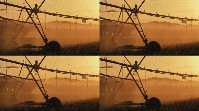 日落时灌溉玉米地的农业灌溉系统剪影