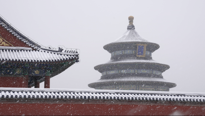 北京 天坛 雪景 雪花飞舞 瑞雪