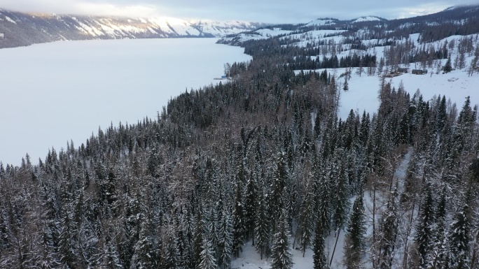 阿尔泰山区的雪景素材（4K高清）