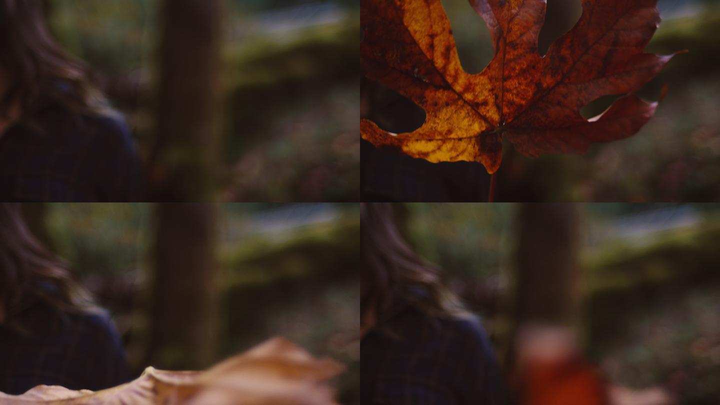 美丽的女孩在森林里挥舞着一片巨大的秋叶