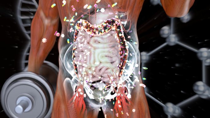 肠道微生物组的抽象动画