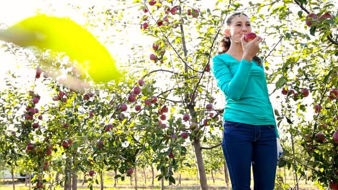 吃苹果的女孩种植农业乡村振兴水果蔬菜丰收