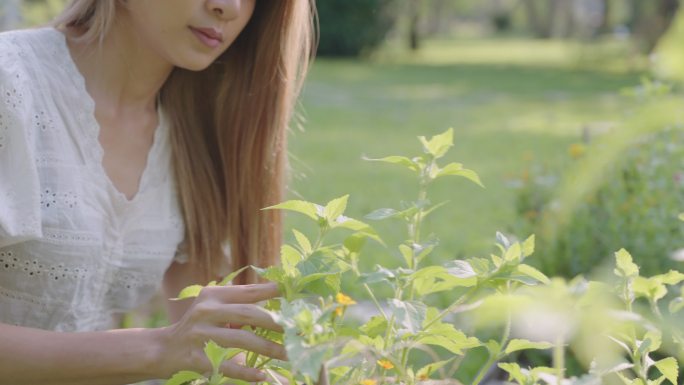 美丽的女人轻轻抚摸着植物的叶子