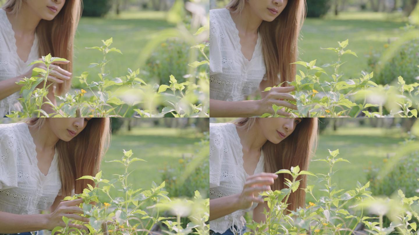 美丽的女人轻轻抚摸着植物的叶子