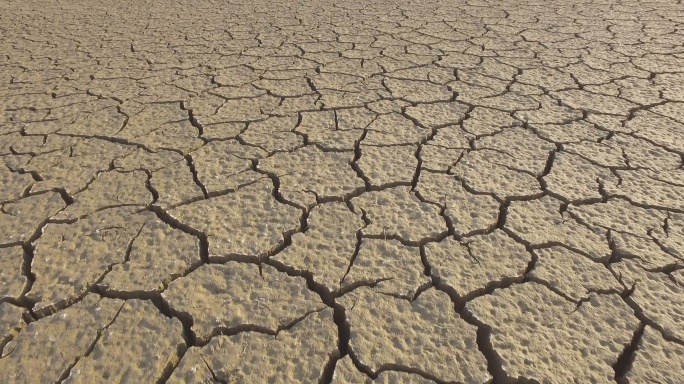 干旱期间泥中的裂缝模式