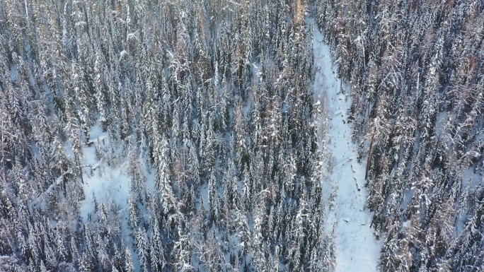 阿尔泰山区的雪景素材（4K高清）