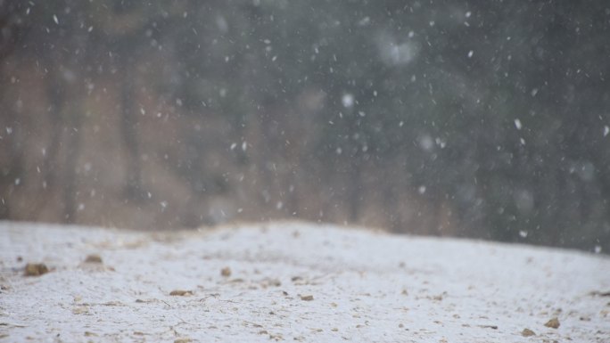 雪花纷纷飘落在白雪覆盖的山间小路上