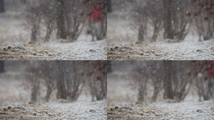 冬天落雪的山路