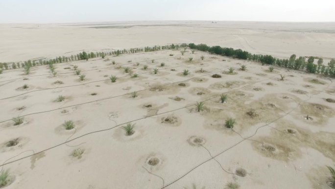 展示沙漠中耕作的灌溉系统