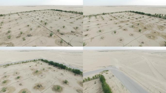 展示沙漠中耕作的灌溉系统