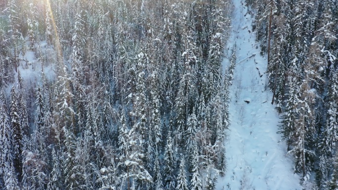 阿尔泰山区的雪景素材（4K高清）