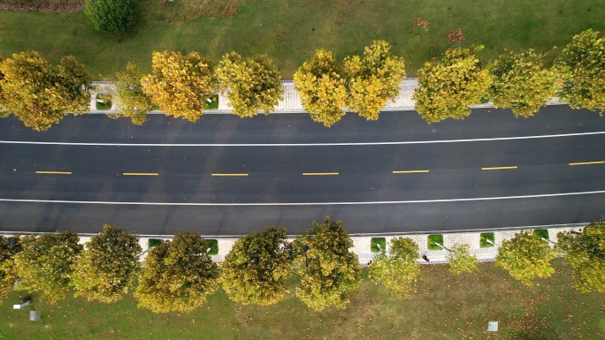 航拍郊区柏油马路