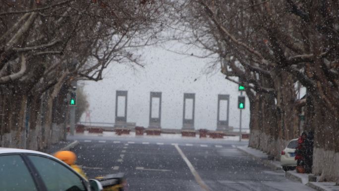 雪花纷纷飘落的林荫街道