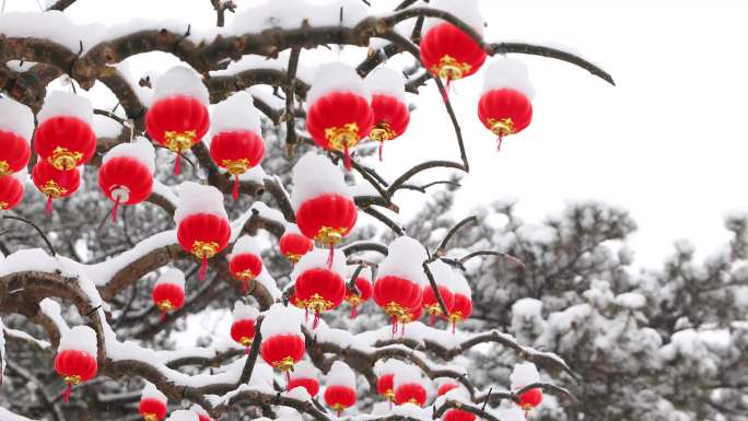 【4K】北京颐和园冬天雪景