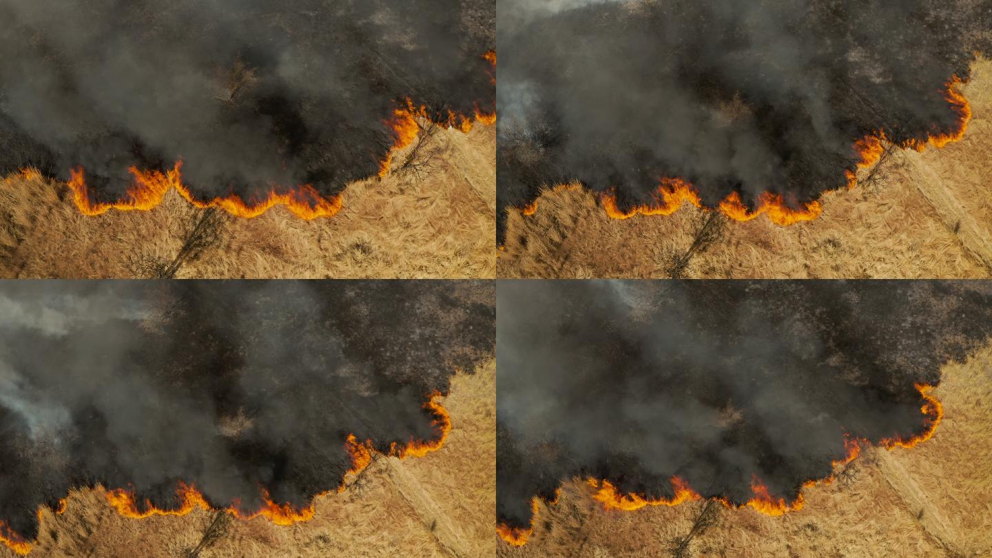 气候变化引起的草火的空中特写图